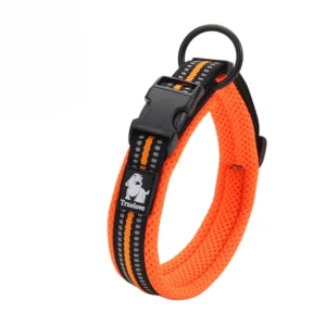 Padded Dog Walking Collar with Buckle.