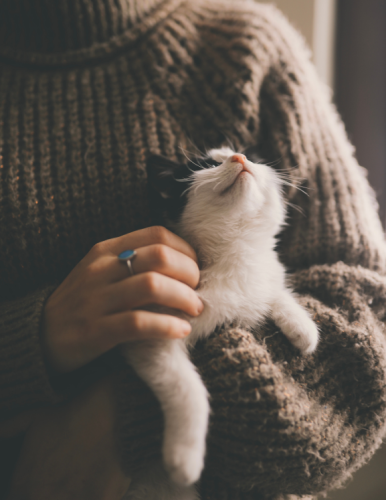 Home_Section1_Image2